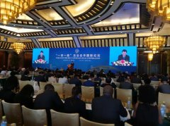 司法部赵大程：一带一路国际合作需法治保障