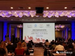 2019 白俄罗斯-中国企业“一带一路”投资交流会在明斯克成功举行