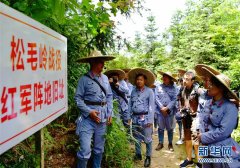 风展红旗如画——来自长征出发地长汀、宁化的红色信仰报告