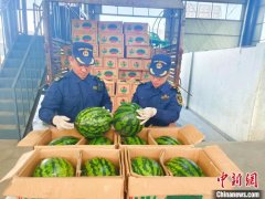 中缅边境畹町口岸2023年进出口货物量值创新高