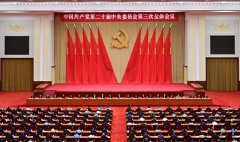 湖南侨界热议党的二十届三中全会：为推进中国式现代化汇聚“侨力量”