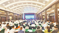 共享市场红利 实现合作共赢 四场专场活动为侨胞来渝投资兴业搭建广阔平台