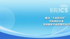 金砖国家华侨华人：推动“大金砖合作”共筑美好未来