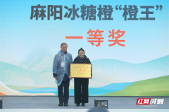 2024麻阳冰糖橙“橙王”揭晓，刚领奖就收到企业订单