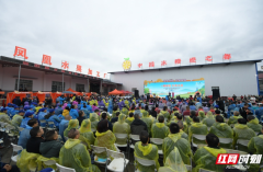 “锦和冰糖橙”新品发布 2024世界长寿乡麻阳冰糖橙采摘季开幕